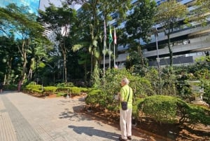 Сан-Паулу: частный тур по городу с пикапом в аэропорту