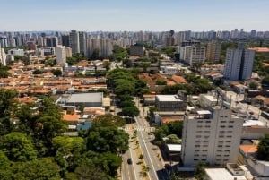 Сан-Паулу: частный тур по городу с пикапом в аэропорту