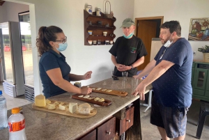 Visita a uma fazenda de café: Explora os sabores do campo