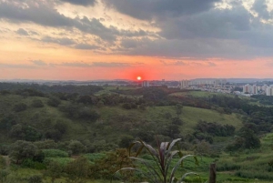 Visita a uma fazenda de café: Explora os sabores do campo