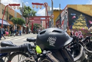 São Paulo: Downtown Historical Bike Tour