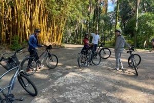 São Paulo: Downtown Historical Bike Tour