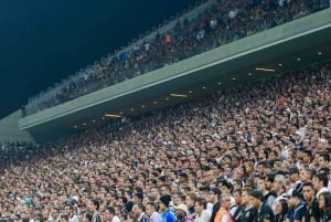 Jalkapallo-ottelu São Paulossa – lippu, kuljetus ja opas