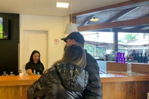 São Paulo: excursão privada de dia inteiro ao vinho em São Roque