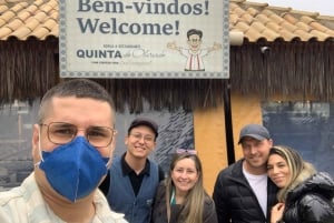 São Paulo: excursão privada de dia inteiro ao vinho em São Roque