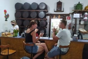 São Paulo: excursão privada de dia inteiro ao vinho em São Roque