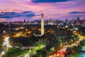 Sao Paulo: GRU Flughafen nach Sao Paulo Stadt Privattransfer