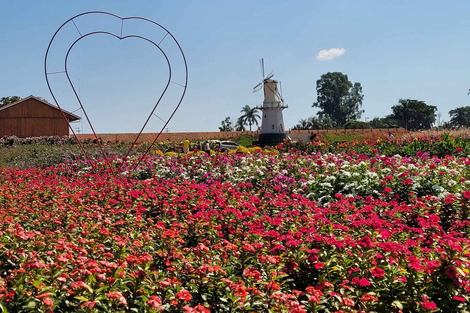 São Paulo: Holambra farverige blomsterfarm - guidet dagstur