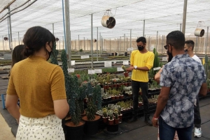 San Diego: Transfer z lotniska do Carlsbad