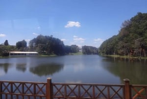 São Paulo: Holambran värikäs kukkatila Opastettu päiväretki