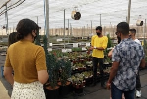 São Paulo: Holambran värikäs kukkatila Opastettu päiväretki