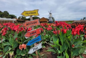 São Paulo: Holambran värikäs kukkatila Opastettu päiväretki