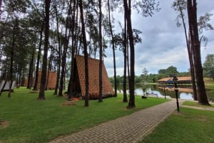 São Paulo: Holambran värikäs kukkatila Opastettu päiväretki