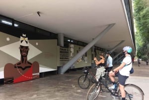 São Paulo - Ibirapuera Park Bike Tour