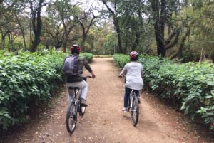 São Paulo - Ibirapuera Park Bike Tour