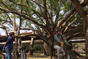 São Paulo - Ibirapuera Park Bike Tour