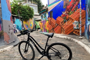 São Paulo - Ibirapuera Park Bike Tour