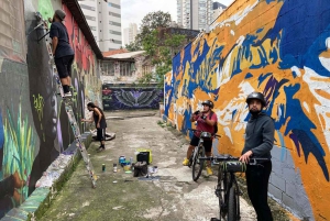 São Paulo - Ibirapuera Park Bike Tour