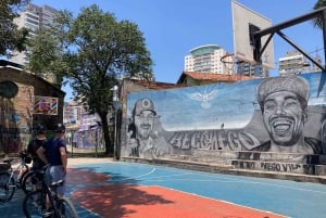São Paulo - Ibirapuera Park Bike Tour
