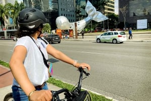 São Paulo - Ibirapuera Park Bike Tour