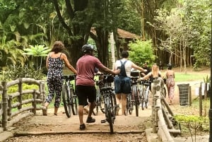 São Paulo - Ibirapuera Park Bike Tour