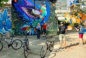São Paulo - Ibirapuera Park Bike Tour