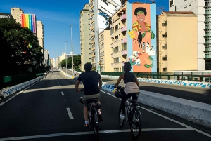 São Paulo - Ibirapuera Park Bike Tour