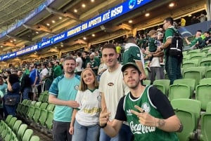 San Paolo: Partecipa a un'esperienza di gioco del Palmeiras con un abitante del luogo