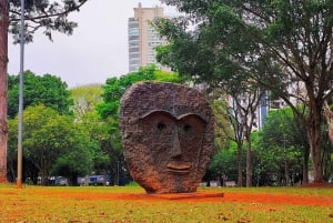 Faz escala em São Paulo: City Tour particular com serviço de busca no aeroporto