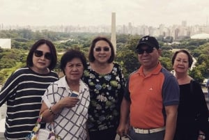 São Paulo : Visite privée en cas d'escale à l'aéroport GRU