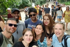 São Paulo: Main City Sights in 7 Hours – Shared Group Tour