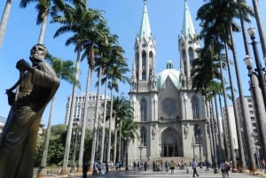 São Paulo: Main City Sights in 7 Hours – Shared Group Tour