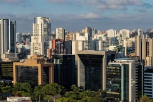 São Paulo: Main City Sights in 7 Hours – Shared Group Tour