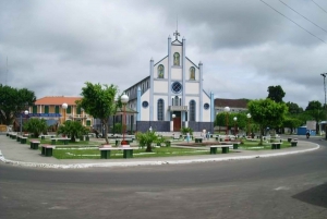 São Paulo : Kävelykierros oppaan johdolla, jossa on nähtävyyksien nähtävyyksiä