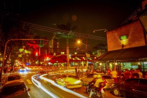São Paulo: Private 4-Hour Night Tour