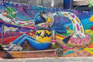 São Paulo: Private City Highlights Tour by Car