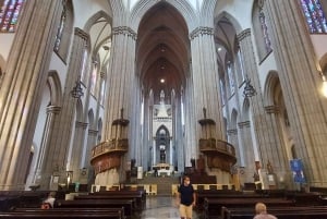 São Paulo: Private City Highlights Tour by Car