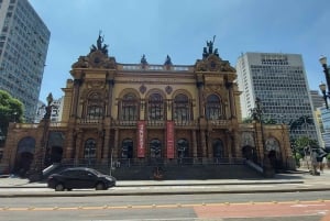 São Paulo: Private City Highlights Tour by Car