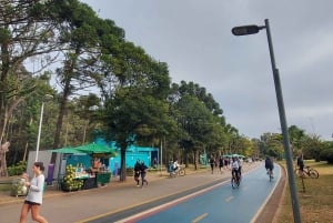São Paulo: Private City Highlights Tour by Car
