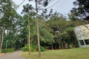 São Paulo: Private City Highlights Tour by Car