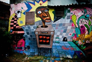 Sao Paulo: Private custom tour with a local guide