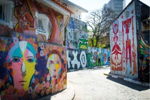 Sao Paulo: Private custom tour with a local guide