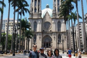 Sao Paulo: Private custom tour with a local guide
