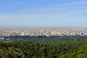 São Paulo Privat halvdagsekotur