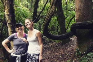 São Paulo Privat halvdagsekotur