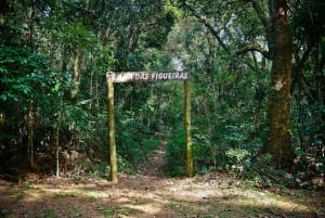 São Paulo Privat halvdagsekotur