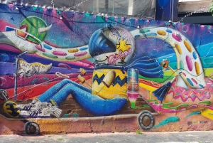 São Paulo: Shared City Highlights Tour