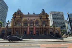 São Paulo: Shared City Highlights Tour