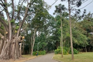 São Paulo: Shared City Highlights Tour