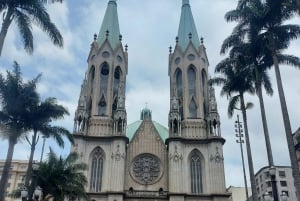 San Paolo: Tour condiviso dei punti salienti della città